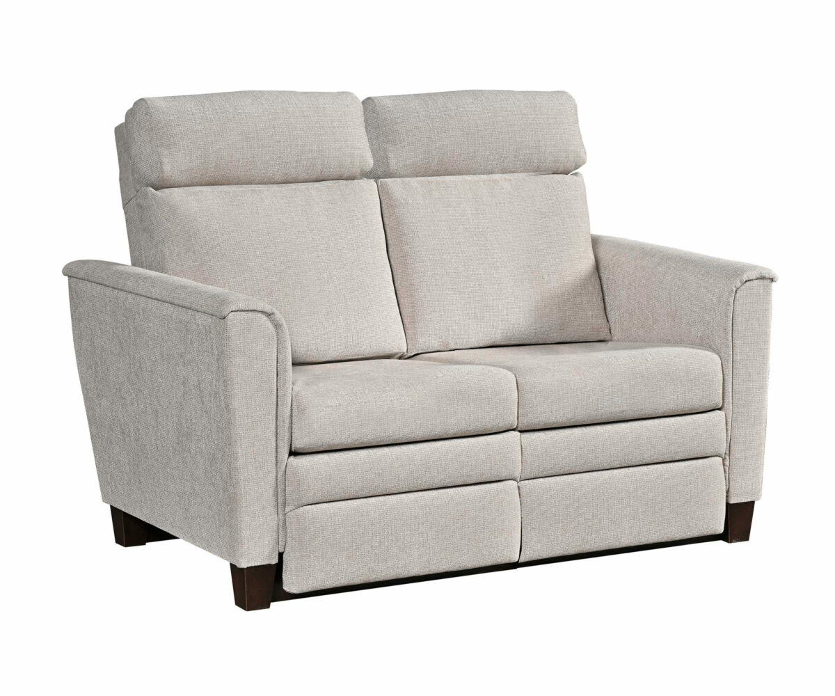 Biltmore Recliner Love Seat